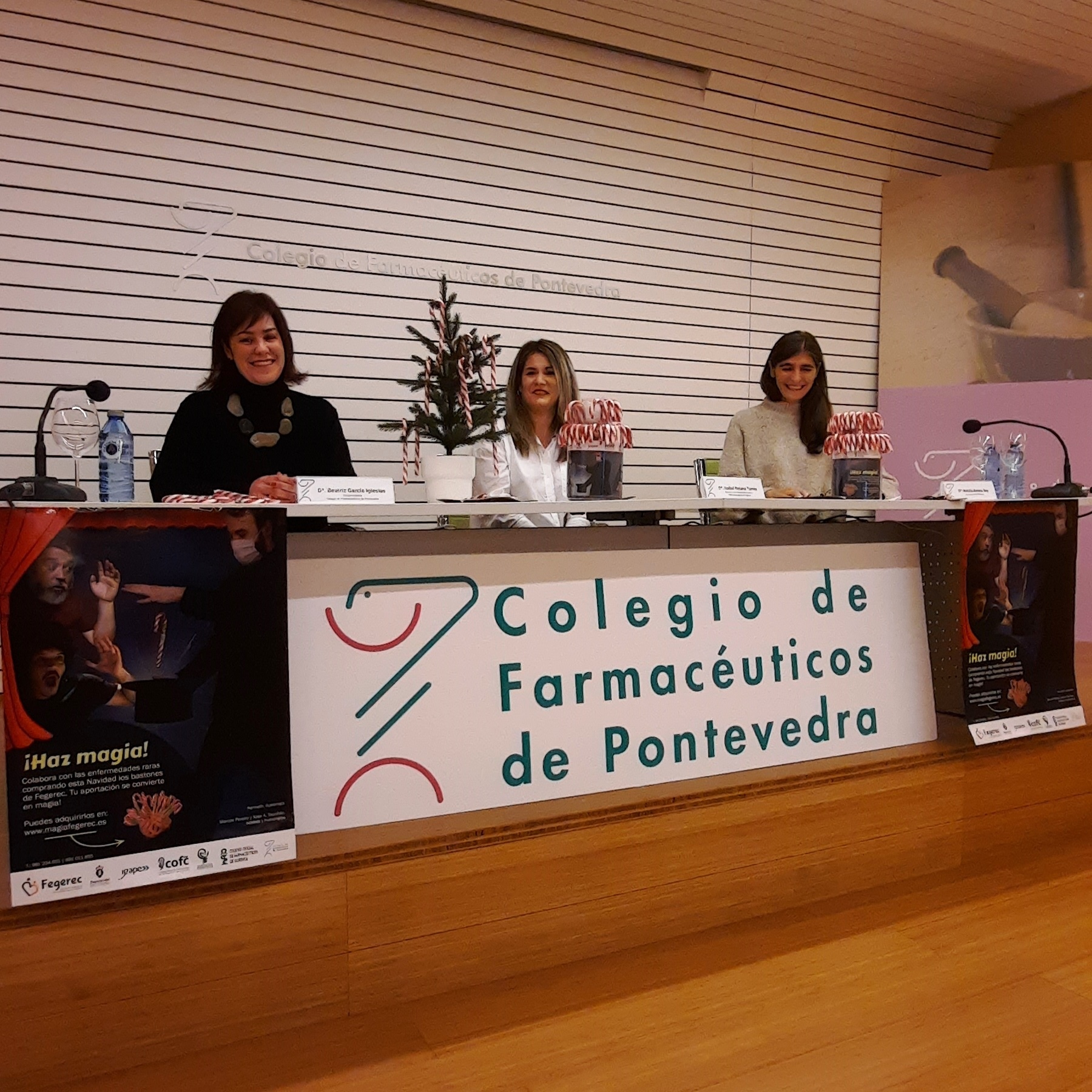 Presentación de la campaña solidaria de Fegerec “Esta navidad puede ser mágica gracias a ti” - Colegio de Farmacéuticos de Pontevedra